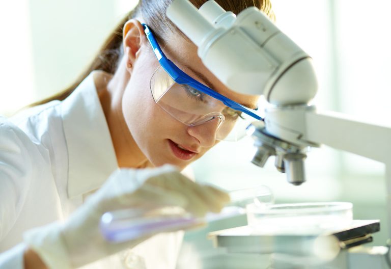 Scientist looking at petri dish under a microscope